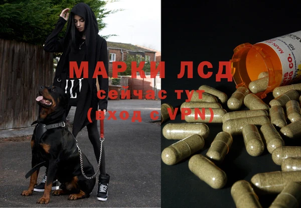2c-b Семилуки