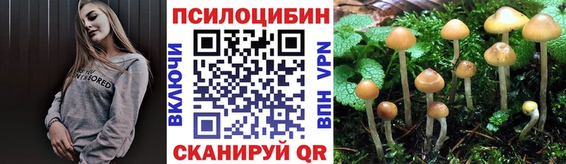 Галлюциногенные грибы Psilocybine cubensis  Тихорецк 