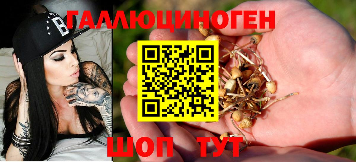 Галлюциногенные грибы MAGIC MUSHROOMS Тихорецк