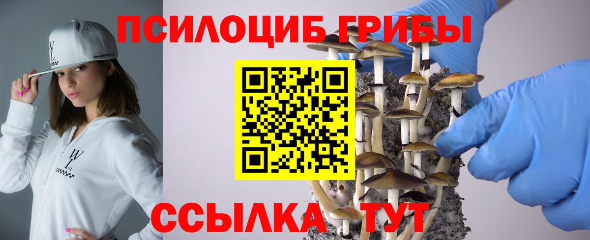 Галлюциногенные грибы ЛСД  Вход с VPN  Тихорецк  Псилоцибиновые грибы MAGIC MUSHROOMS 