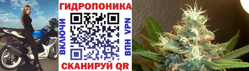 как найти   мега как зайти  Каннабис индика  Тихорецк 