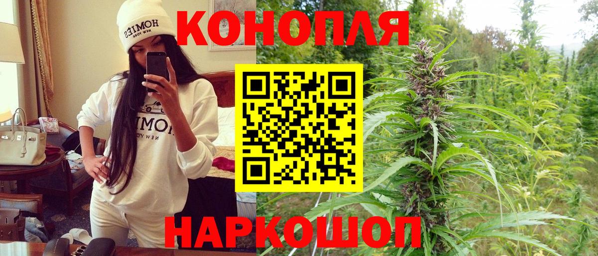 Конопля сатива  Бошки Шишки MAZAR  Тихорецк  Вход с VPN  Каннабис VHQ 